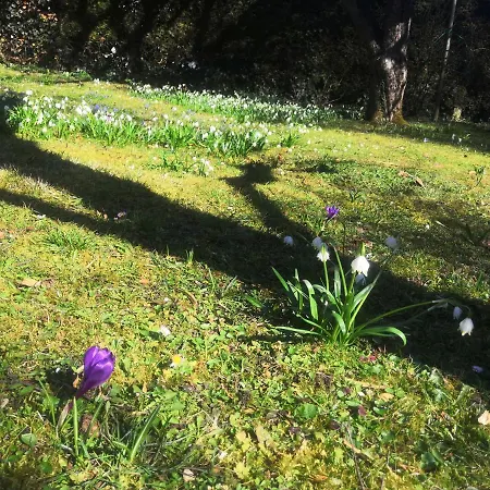 Erika Будинок відпочинку