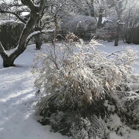 Erika Будинок відпочинку Гарміш-Партенкірхен