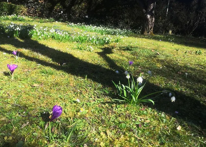 Erika بيت للعطل